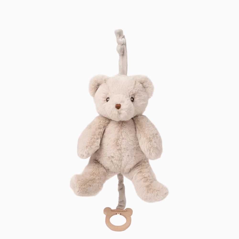 Muzikinis meškiukas Teddy