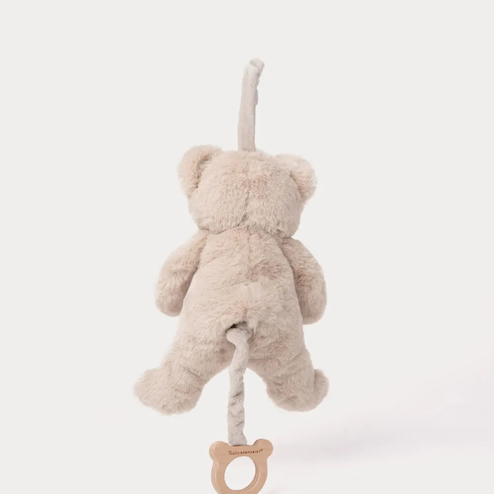 Muzikinis meškiukas Teddy