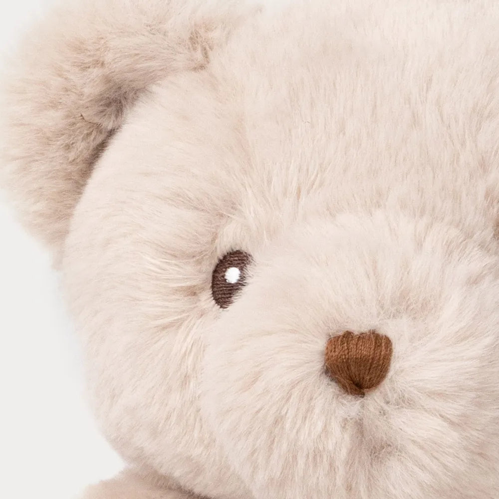 Muzikinis meškiukas Teddy