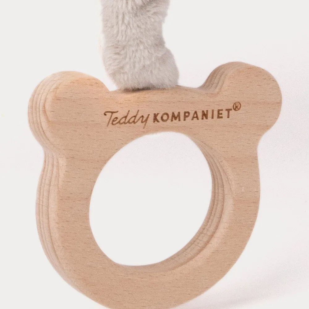 Muzikinis meškiukas Teddy