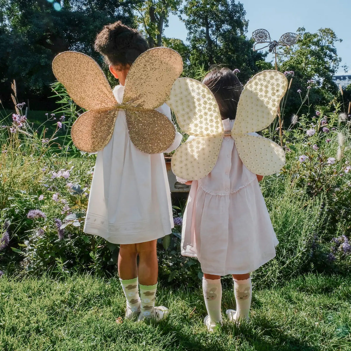 Fėjos sparnai Daisy lauke
