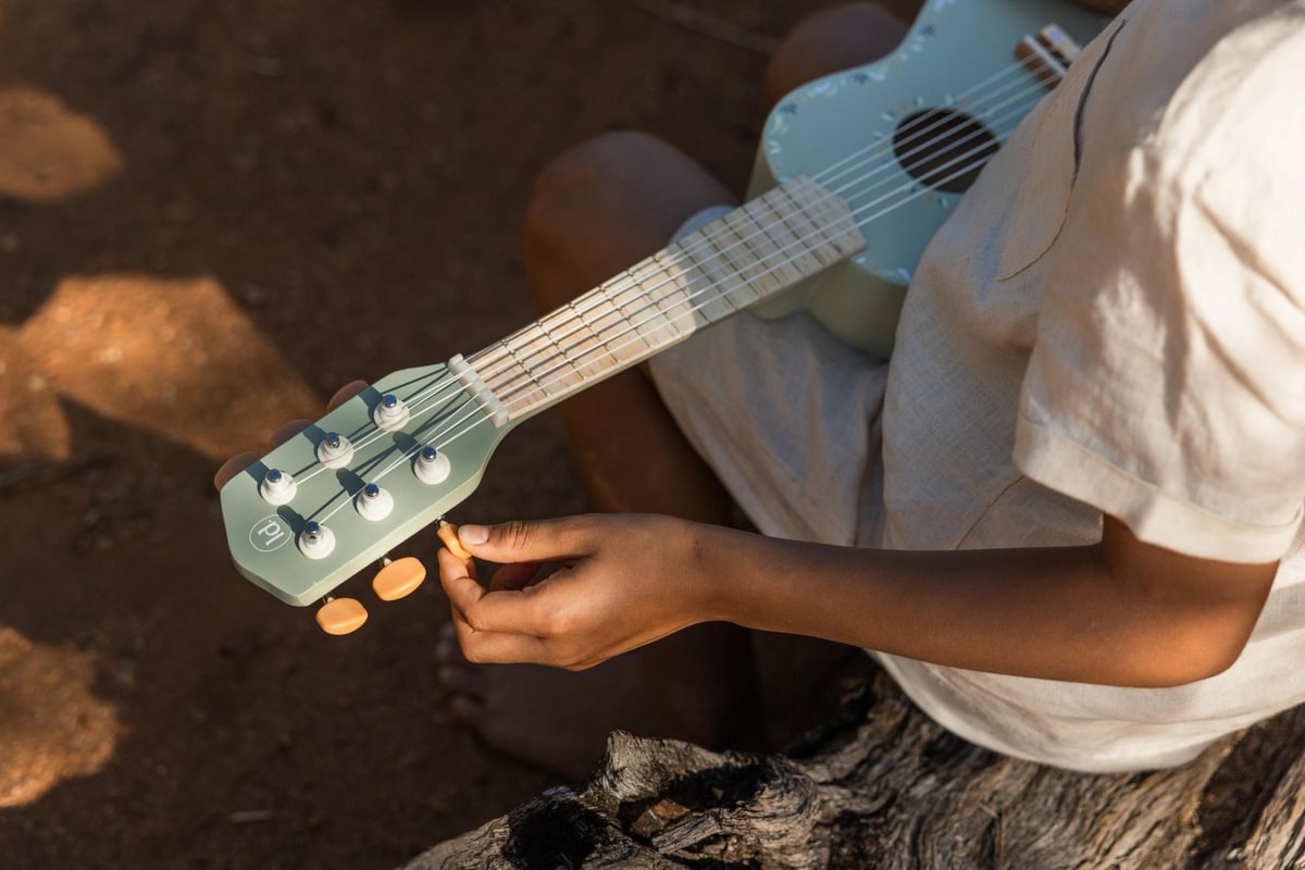 Medinė gitara Safari Friends žalia
